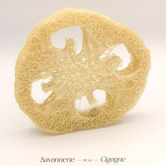 Loofah